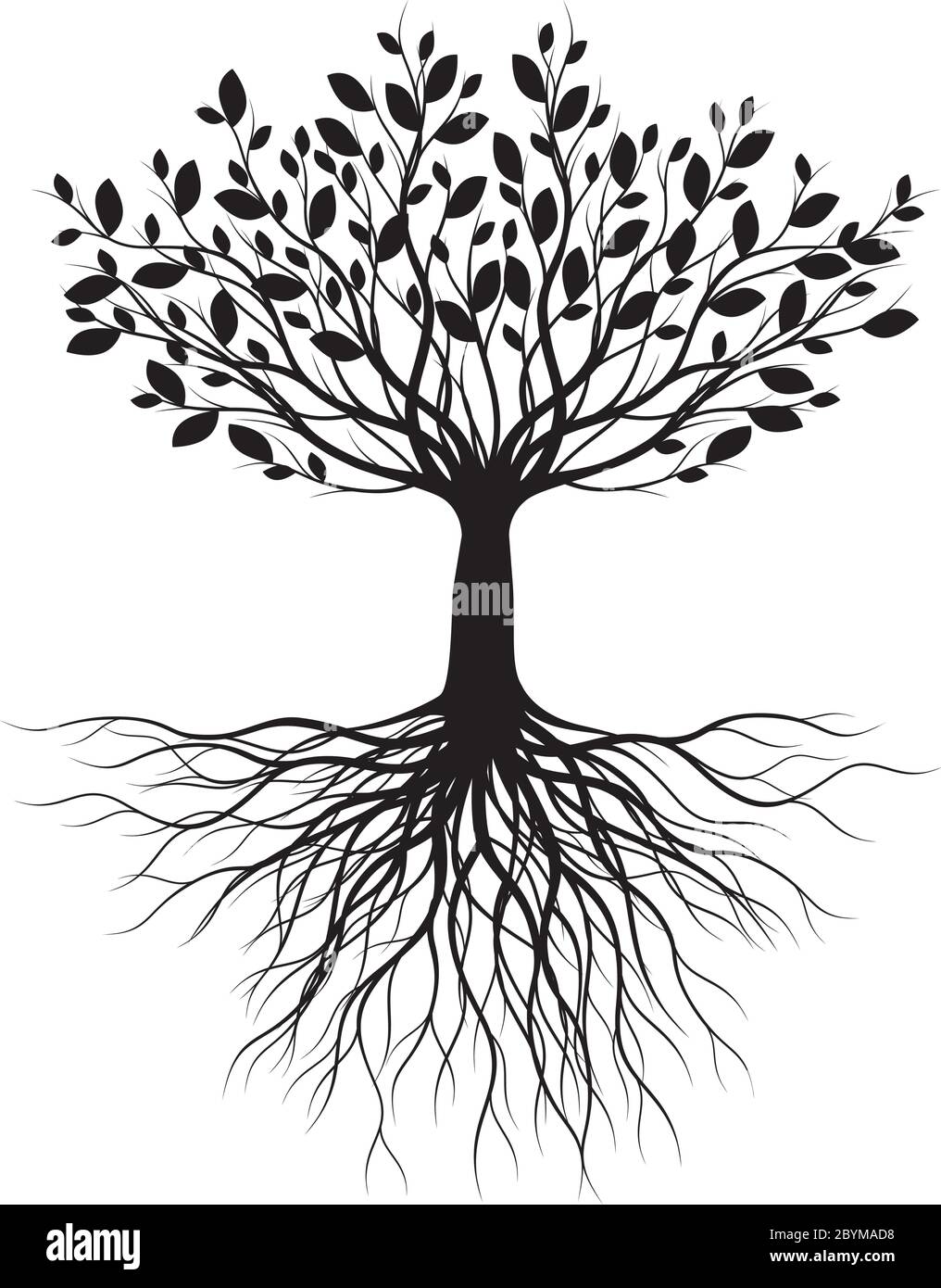 Schwarzer Baum des Lebens. Silhouette Form mit Blättern. Vektorgrafik. Pflanze im Garten. Lizenzfreies Vektorobjekt. Stock Vektor