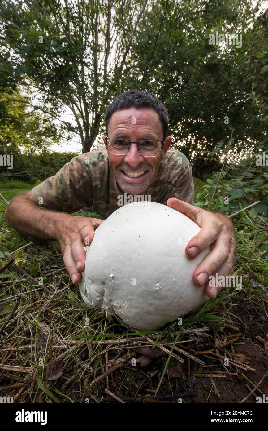 Riesenpuffball; Calvatia gigantea; man Holding Pilz; UK Stockfoto