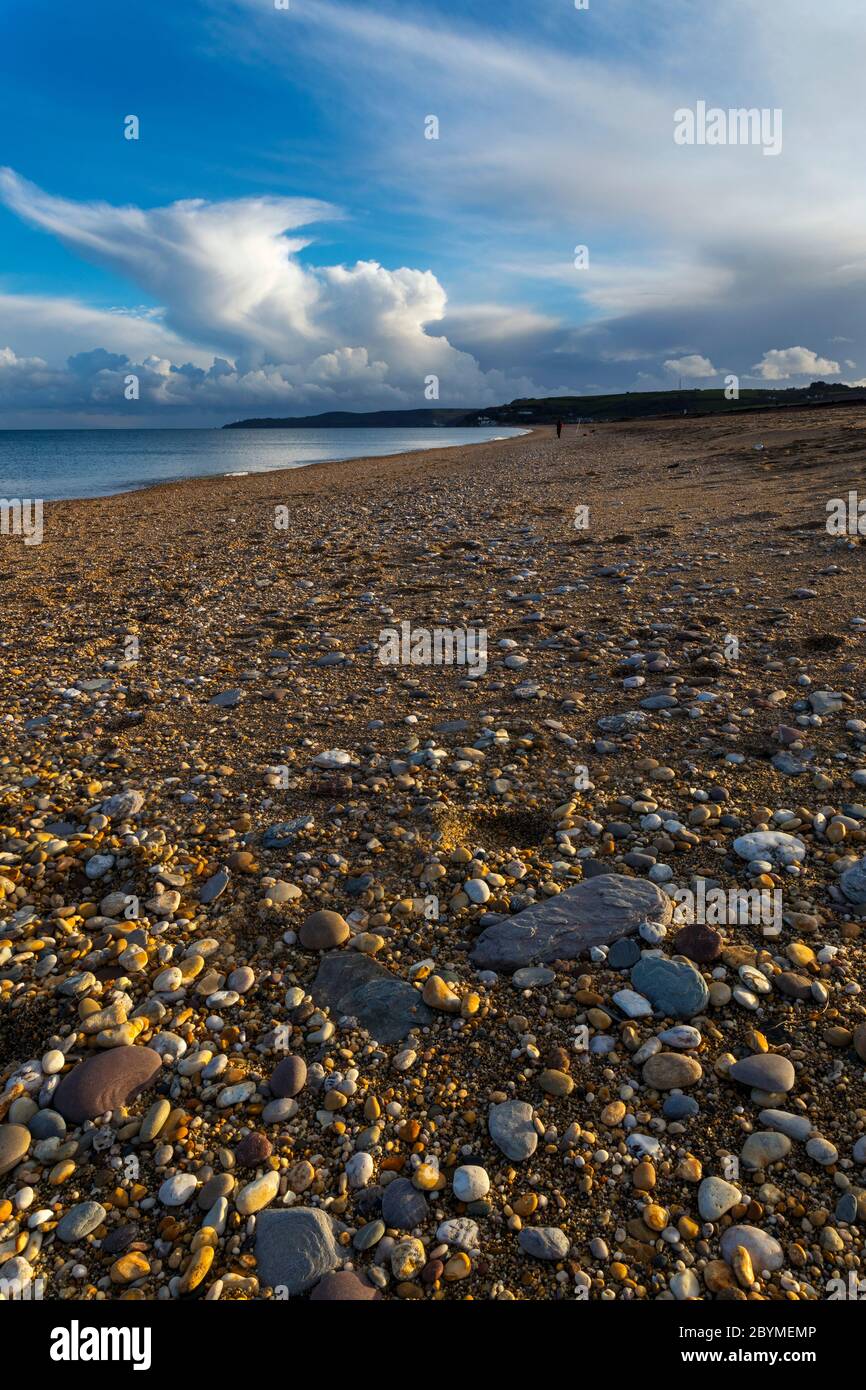 Slapton Sands; Devon; Großbritannien Stockfoto