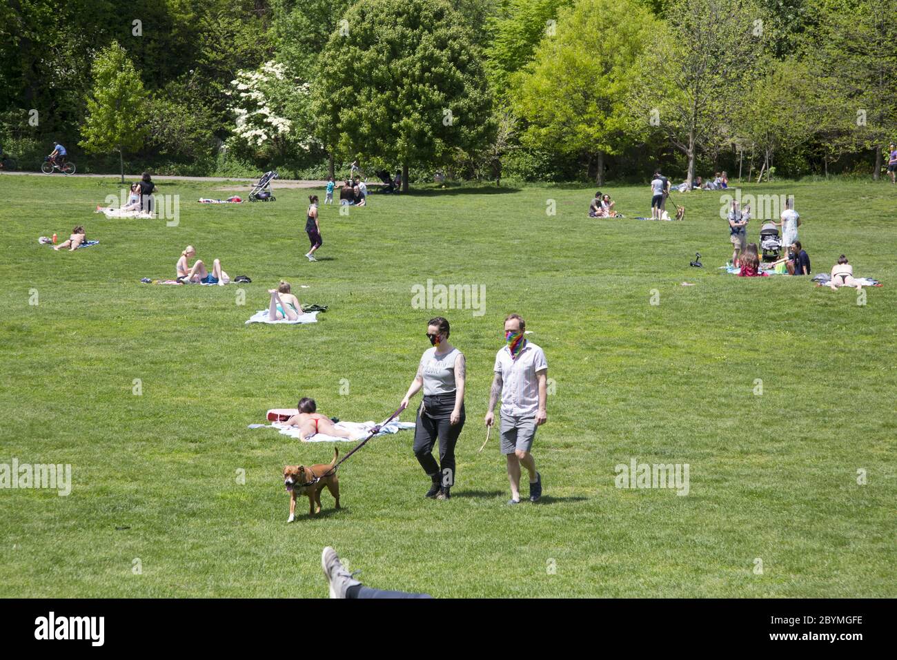 Die Menschen bekommen während der Coronavirus Covid-19 Pandemie etwas Sonne und Luft, während sie sich sozial distanzieren. Prospect Park, Brooklyn, New York. Stockfoto