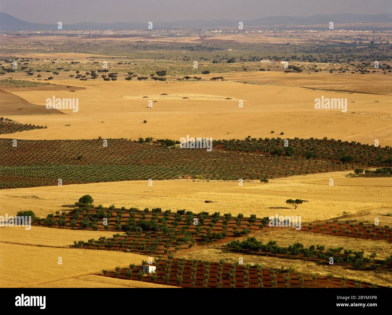 Landwirtschaftliche Landschaft. Spanien, Extremadura. Region La Serena. Badajoz Provinz. Panoramablick in die Umgebung des Dorfes Magacela. Stockfoto