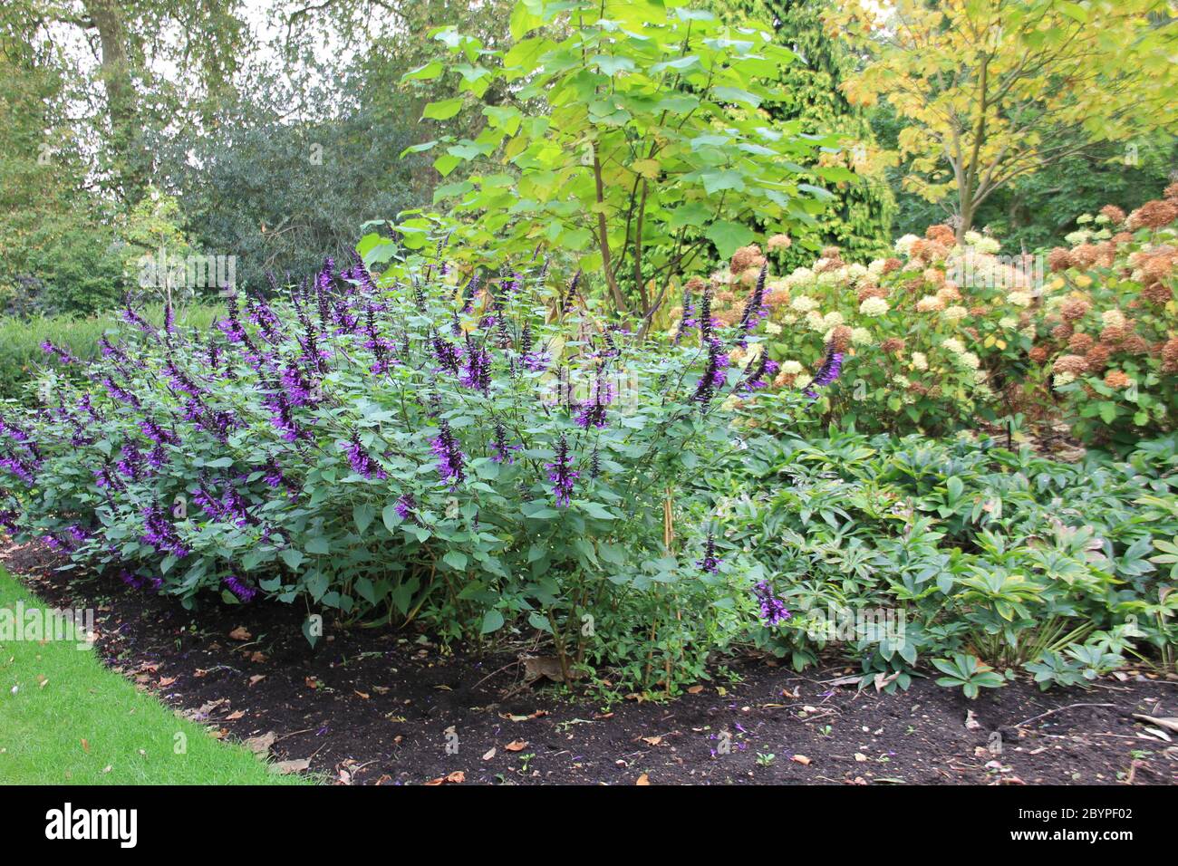 Hyde Park in London, England Stockfoto