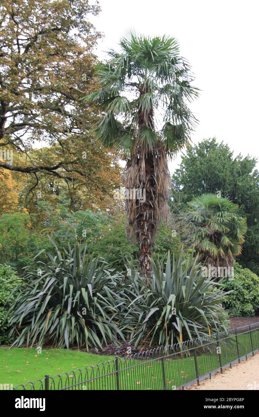 Hyde Park in London, England Stockfoto