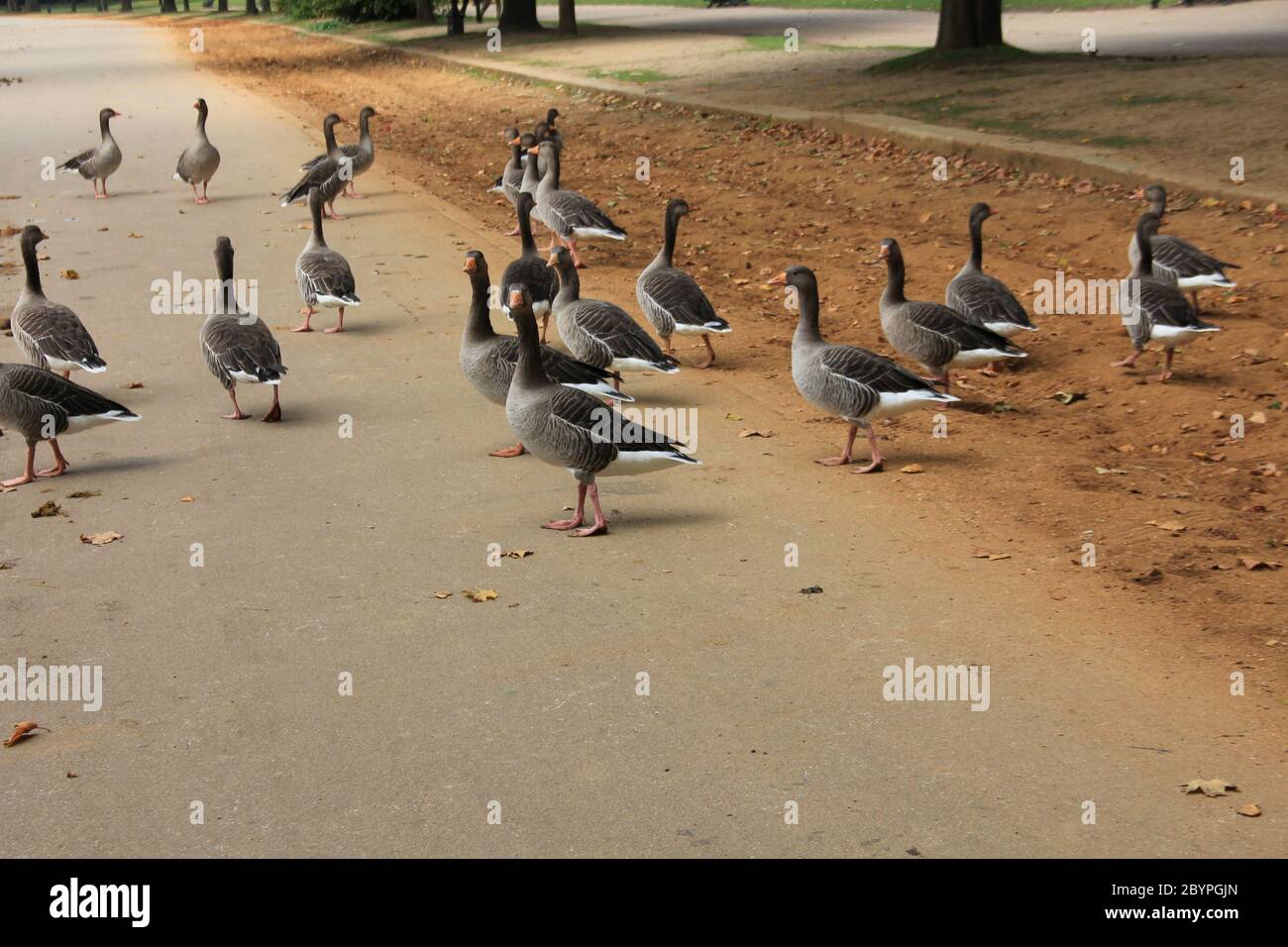 Hyde Park in London, England Stockfoto