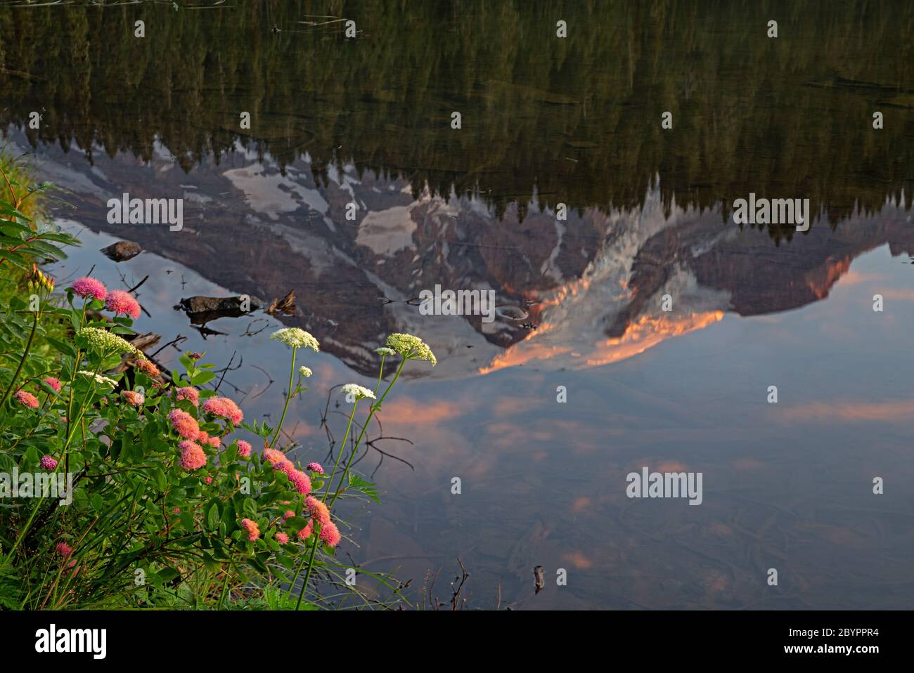 WA16598-00...WASHINGTON - Spiegelung des Mount Rainier im stillen Wasser des Reflection Lake im Mount Rainier Nationalpark. Stockfoto