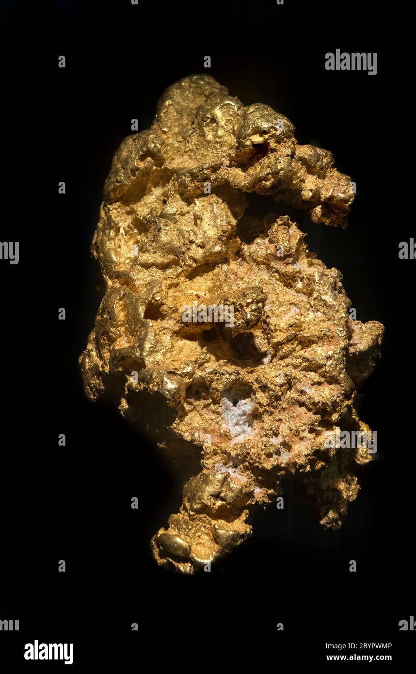 Der Goldsteinfisch, ein echtes Goldnugget mit einem Gewicht von 7,2 kg, wurde 2004 in der Nähe von Kalgoorlie, Perth Mint, Perth, Western Australia, Australien gefunden Stockfoto