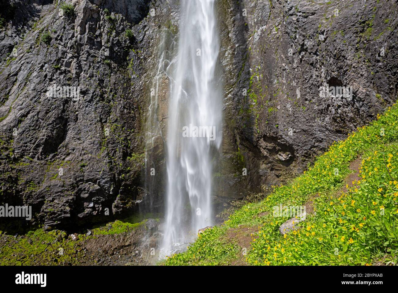 WA16623-00...WASHINGTON - Comet Falls im Sommer im Mount Rainier National Park. Stockfoto