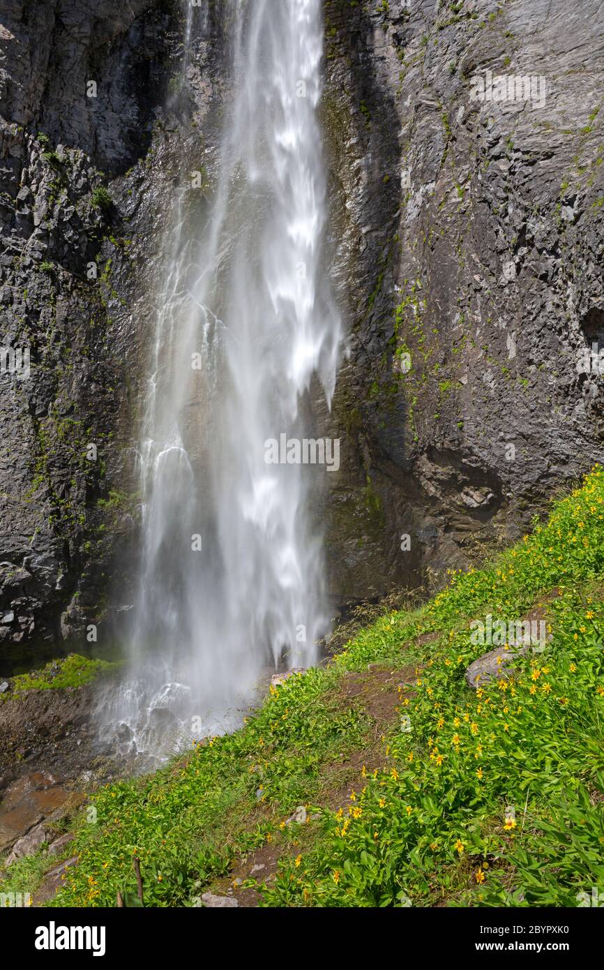 WA16624-00...WASHINGTON - Comet Falls im Sommer im Mount Rainier National Park. Stockfoto