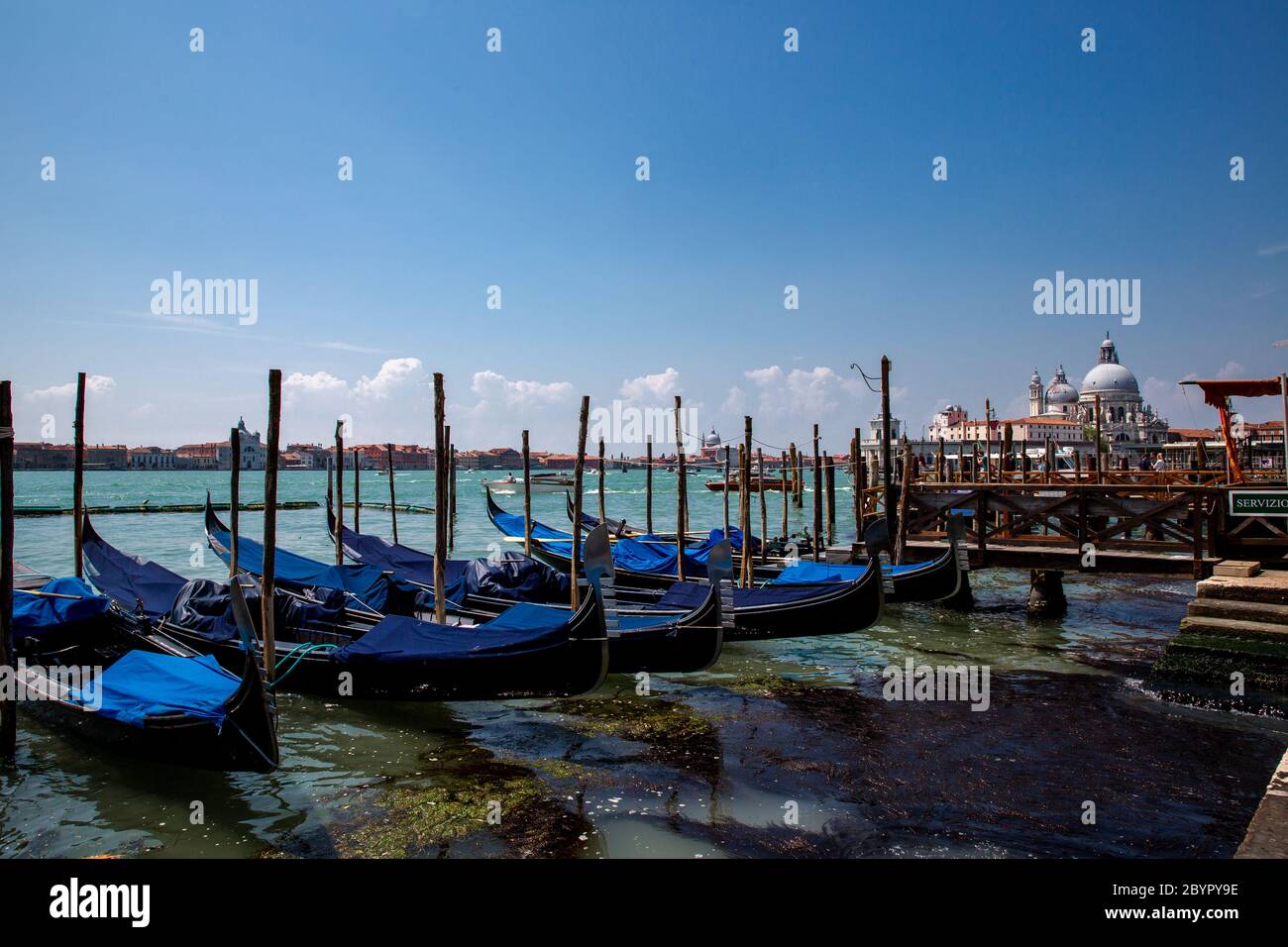 Traditionelle Gondeln des Canale Grande, die am Pier festgemacht sind, die Insel Giudecca und die Chiesa del Santissimo Redentore im Hintergrund, Lagune von Venedig, Ve Stockfoto