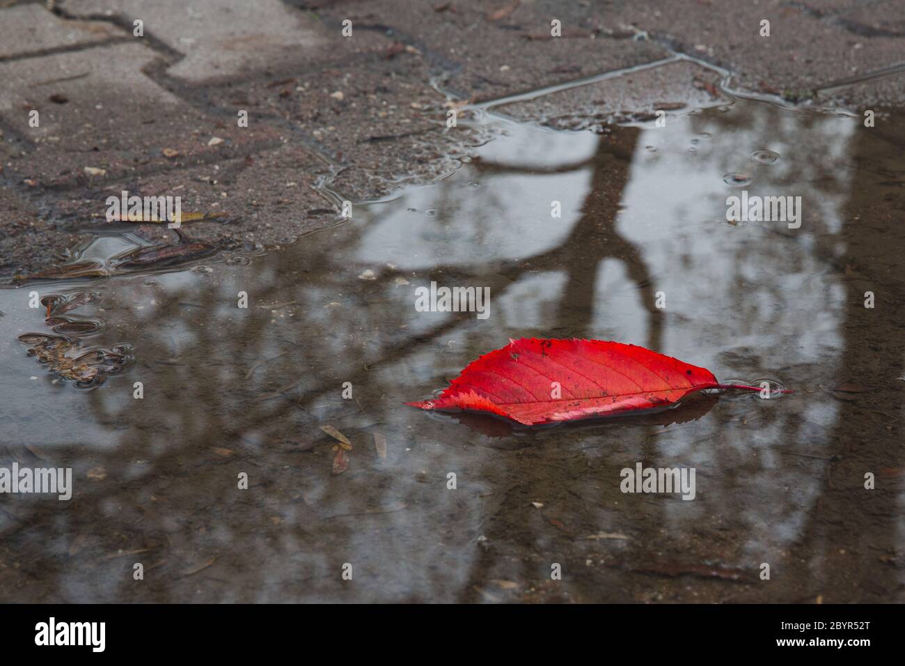 Wasserkreislauf symbol Fotos und Bildmaterial in hoher Auflösung Alamy