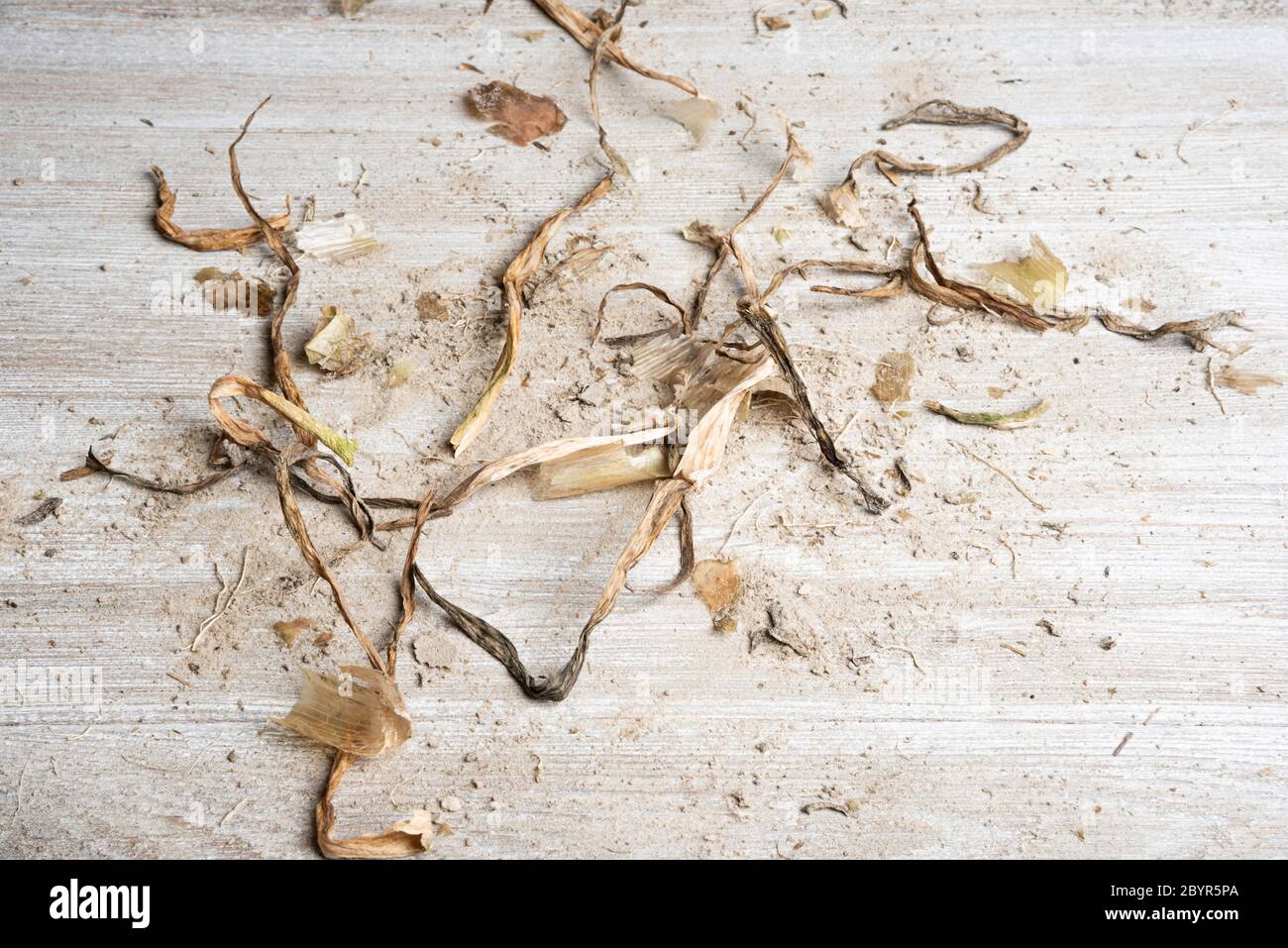 Ein kunstvoll arrangierte generische flache Hintergrund Textur Holzpaneel Layout mit einer Mischung aus Sand und organischen Substanz in natürlichen erdigen Farbtönen und Tönen. Stockfoto