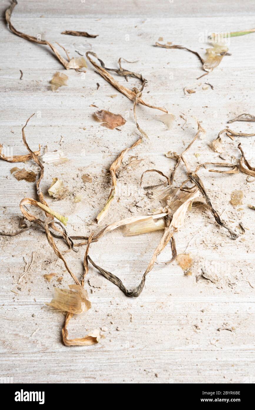 Ein kunstvoll arrangierte generische flache Hintergrund Textur Holzpaneel Layout mit einer Mischung aus Sand und organischen Substanz in natürlichen erdigen Farbtönen und Tönen. Stockfoto