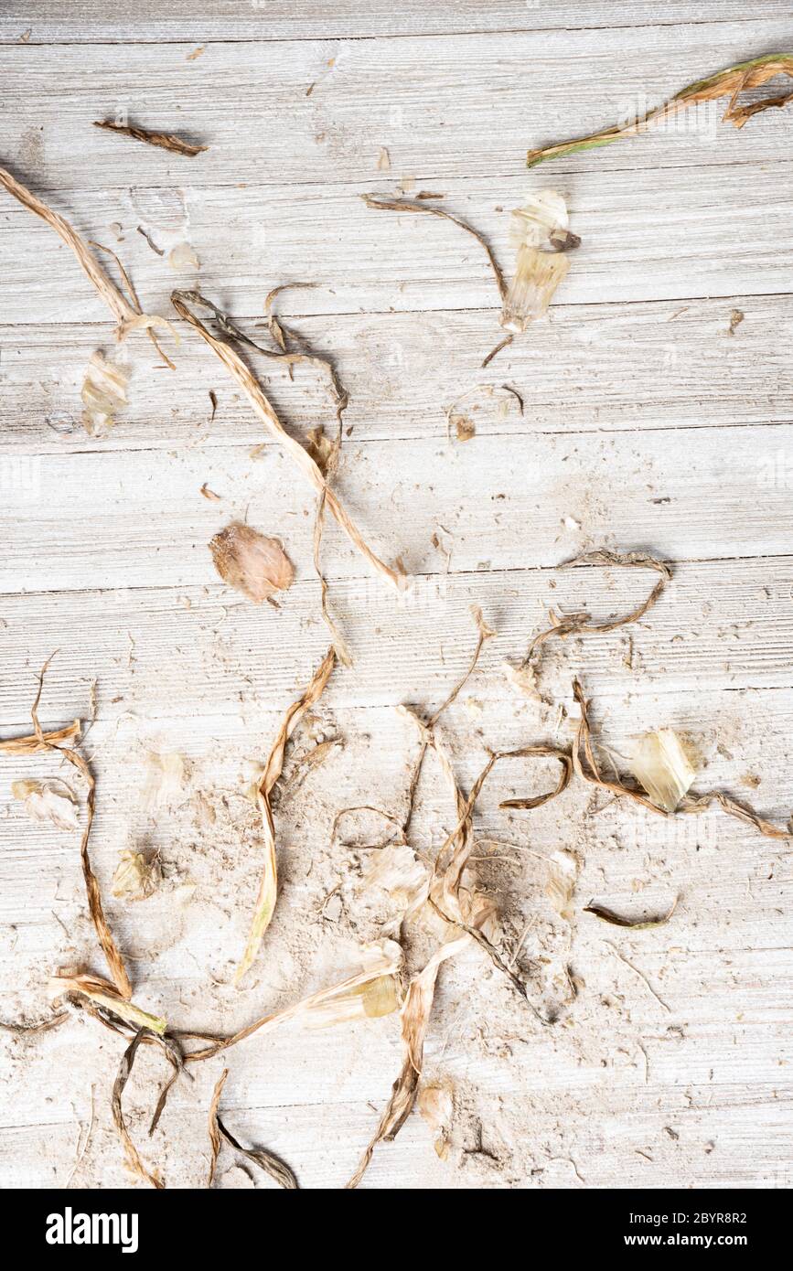 Ein kunstvoll arrangierte generische flache Hintergrund Textur Holzpaneel Layout mit einer Mischung aus Sand und organischen Substanz in natürlichen erdigen Farbtönen und Tönen. Stockfoto