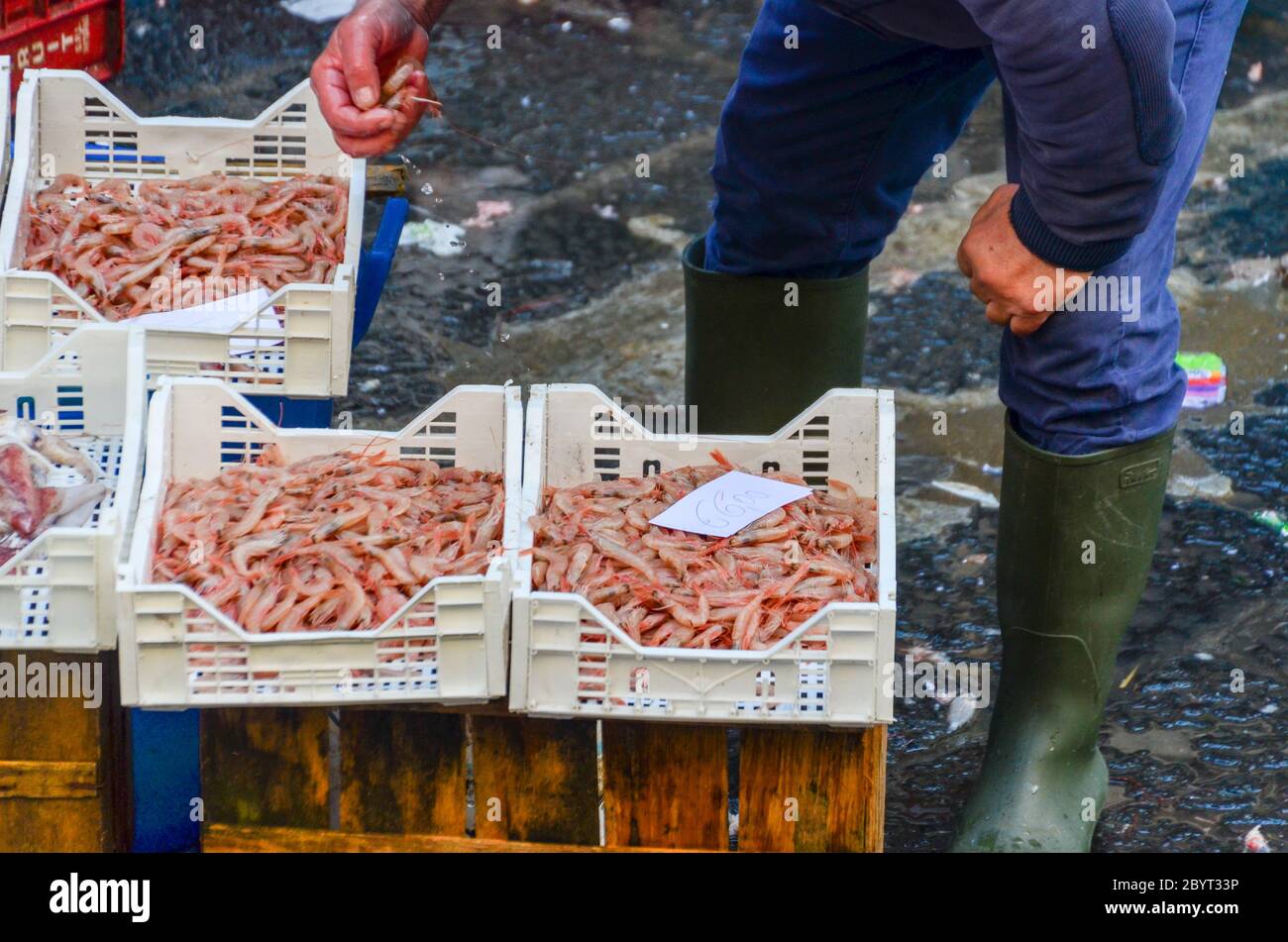 Fischmarkt in Catania, Sizilien, Italien Stockfoto