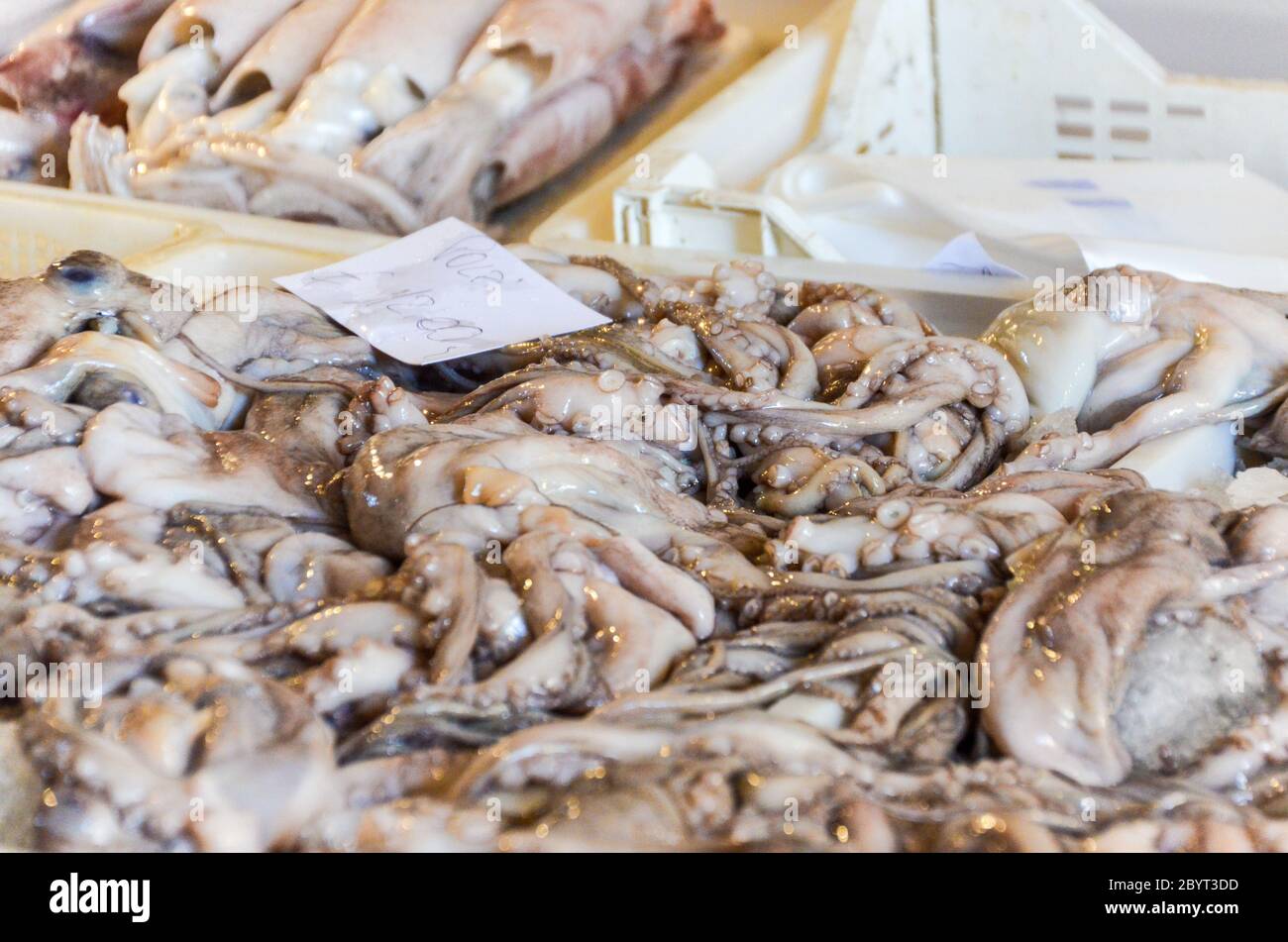 Octopi (octupus) zum Verkauf auf dem Fischmarkt in Catania, Sizilien, Italien Stockfoto