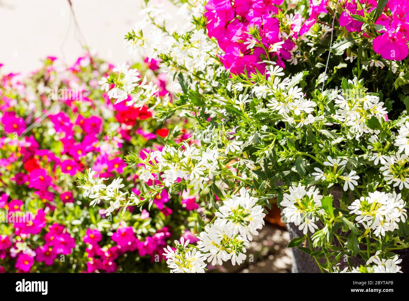 Hängenden Korb Stockfoto