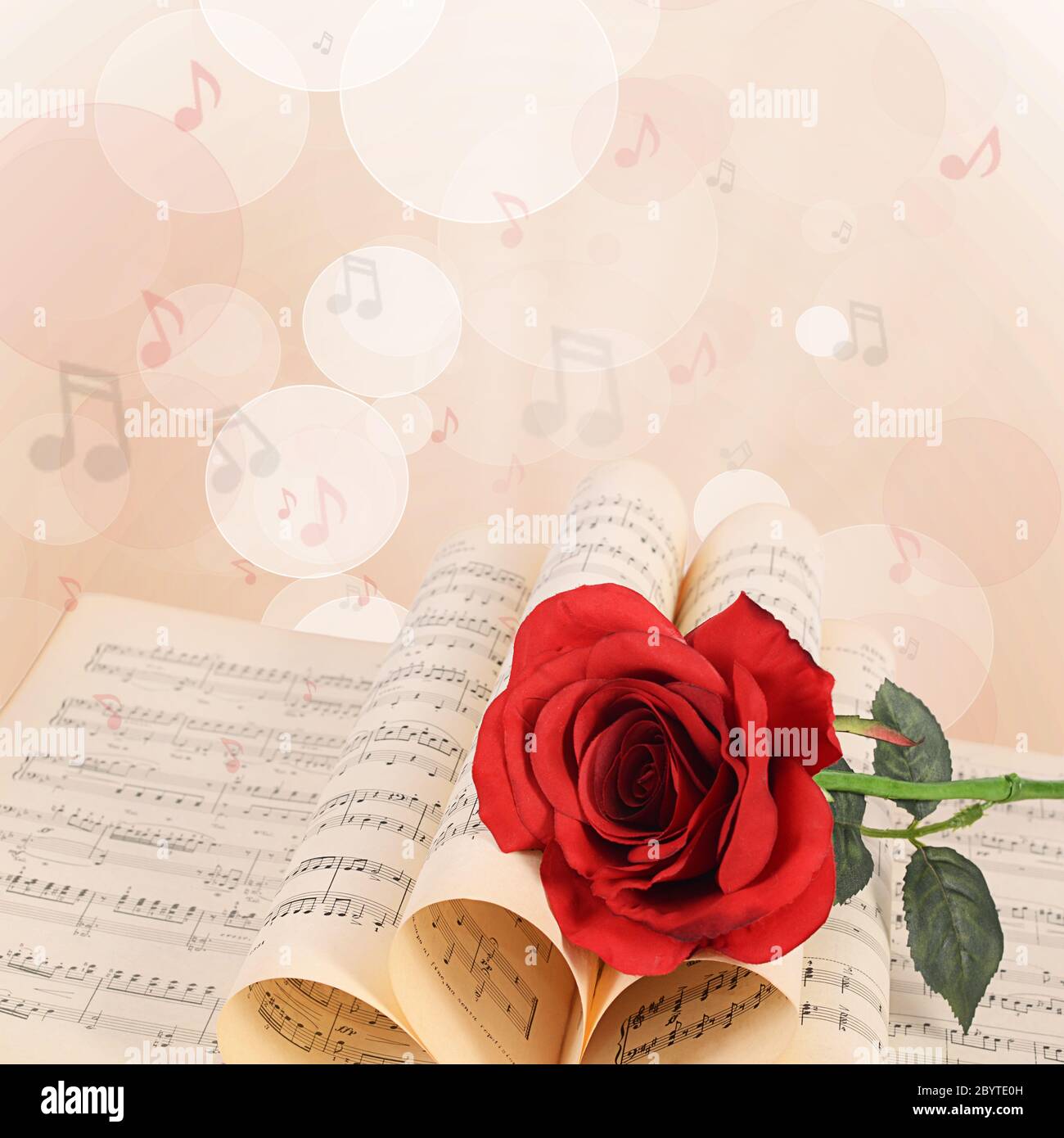 Die Rose auf Notebooks mit Noten Stockfoto