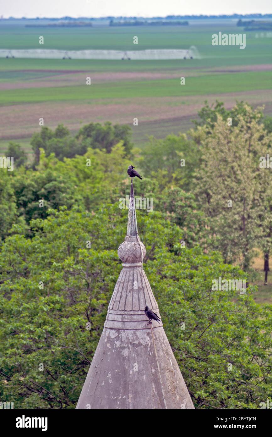 Zwei Krähen ließen sich auf dem spitzen Dach eines alten Schlosses in einem schönen Park nieder. Stockfoto