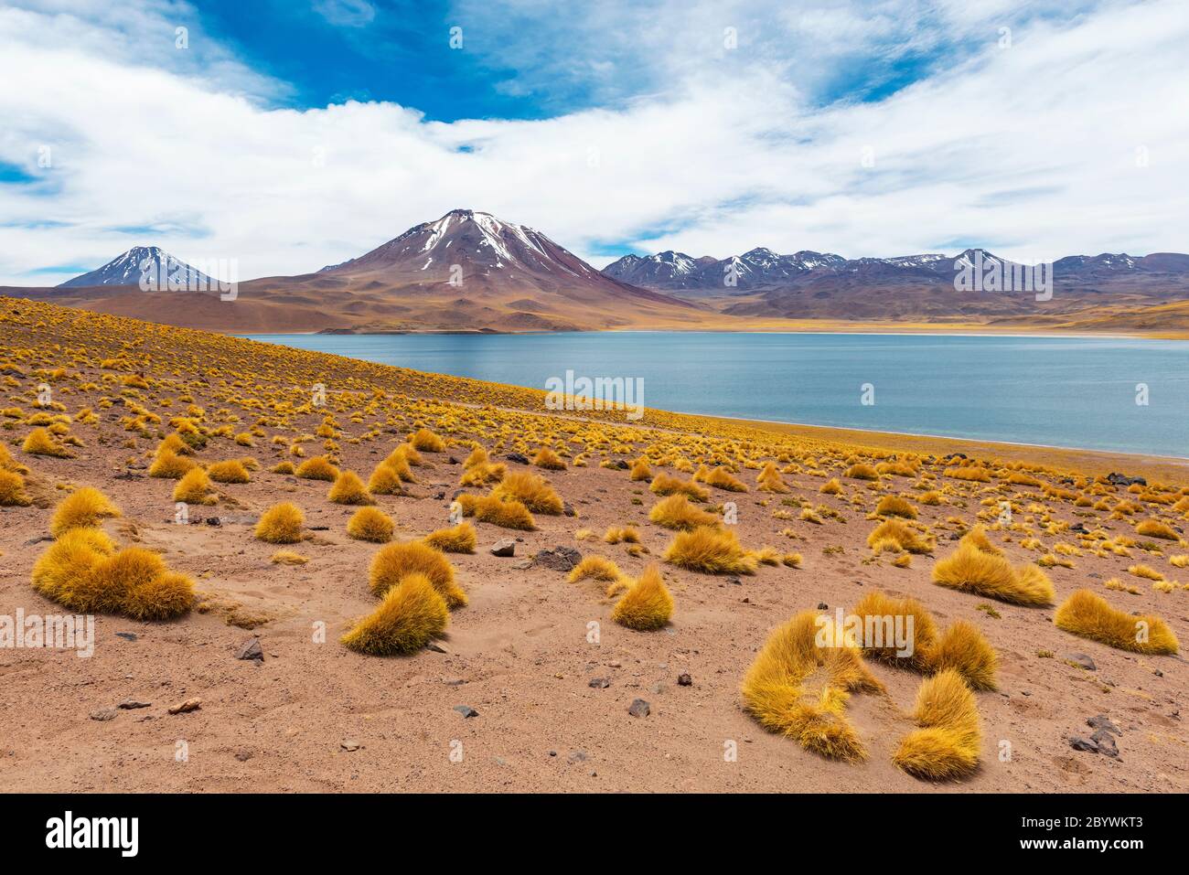 Landschaft der Miscanti Lagune mit Schnee auf den Anden Berggipfeln, Atacama Wüste, Chile. Stockfoto