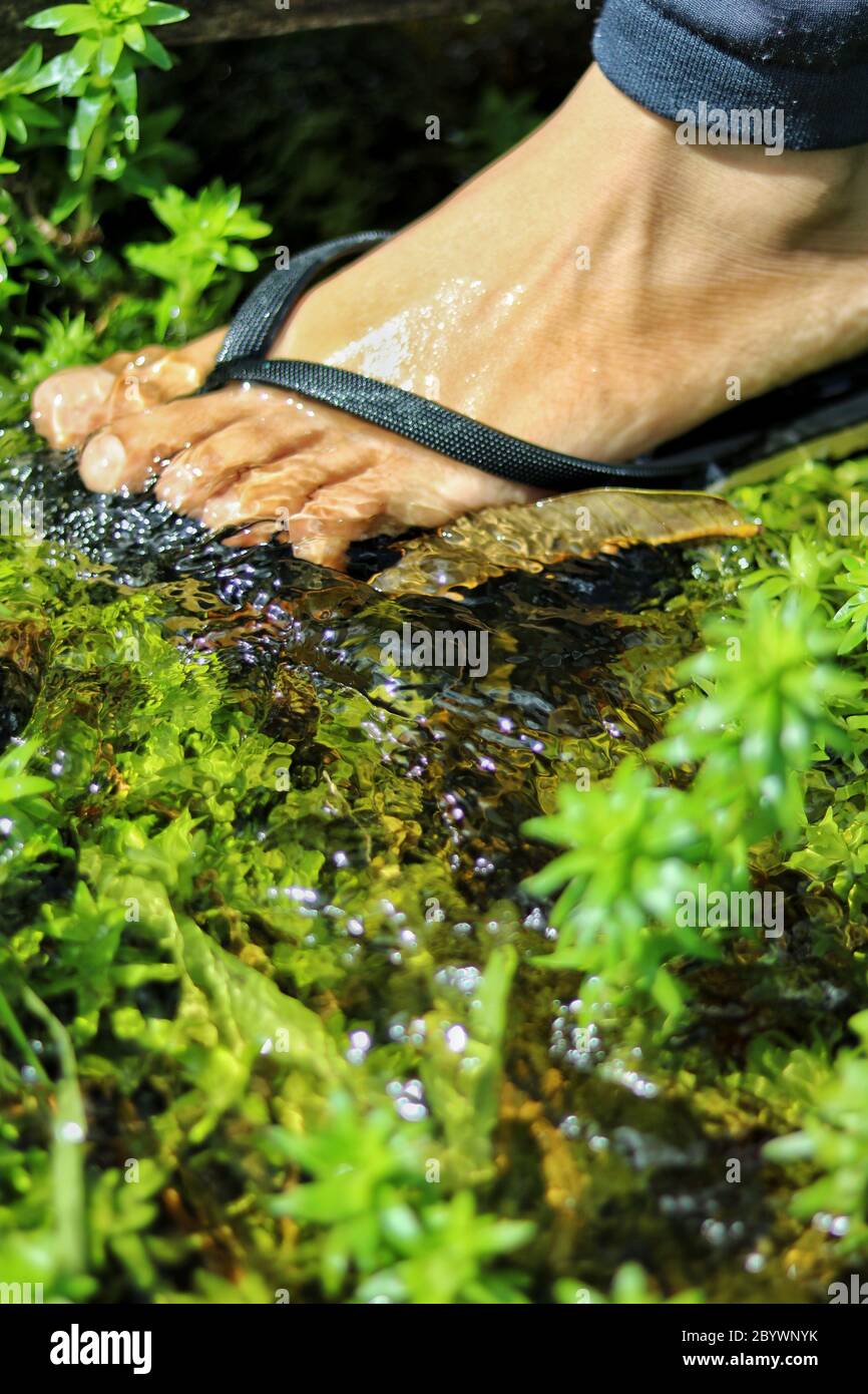 Nehmen Sie sich Zeit, um die Natur zu schätzen Stockfoto