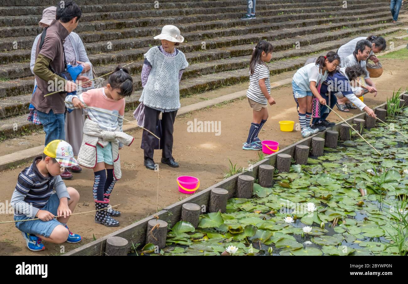 Kinder und Familie genießen Angeln in einem Teich während Suigo Itako Iris Festival, Ibaraki, Japan Stockfoto