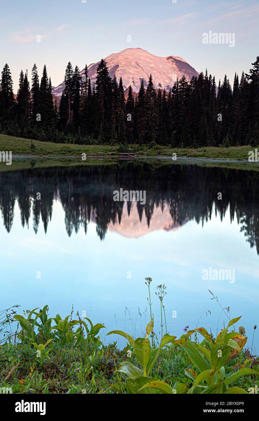 WA16640-00...WASHINGTON - Mount Rainier spiegelt sich im Tipsoo Lake bei Sonnenaufgang im Mount Rainier National Park. Stockfoto