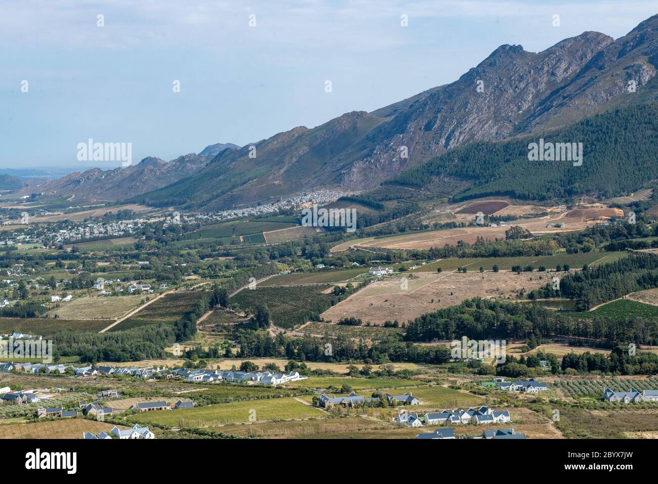 Ein weiter offener Blick auf die Weinberge von Franschhoek's Wine Valley, Franschhoek, Western Cape, Südafrika Stockfoto