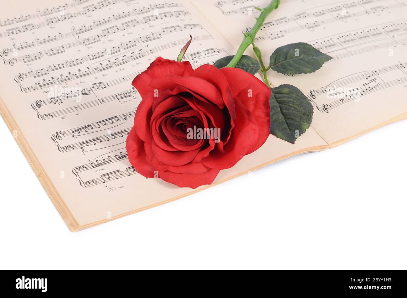 Die Rose auf Notebooks mit Noten Stockfoto