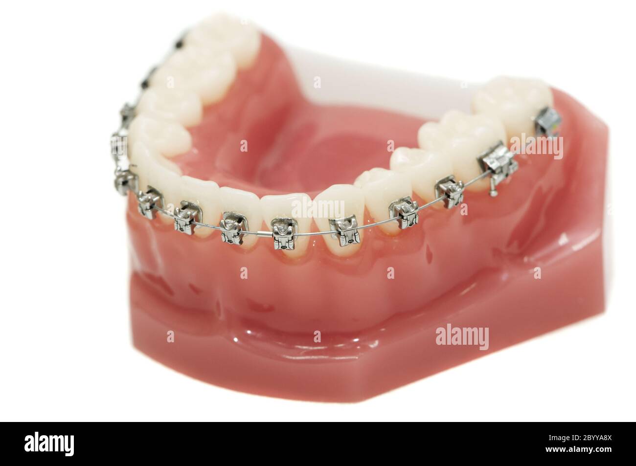 Modell der unteren Zahnkieferhalterung mit Klammern isoliert Stockfoto