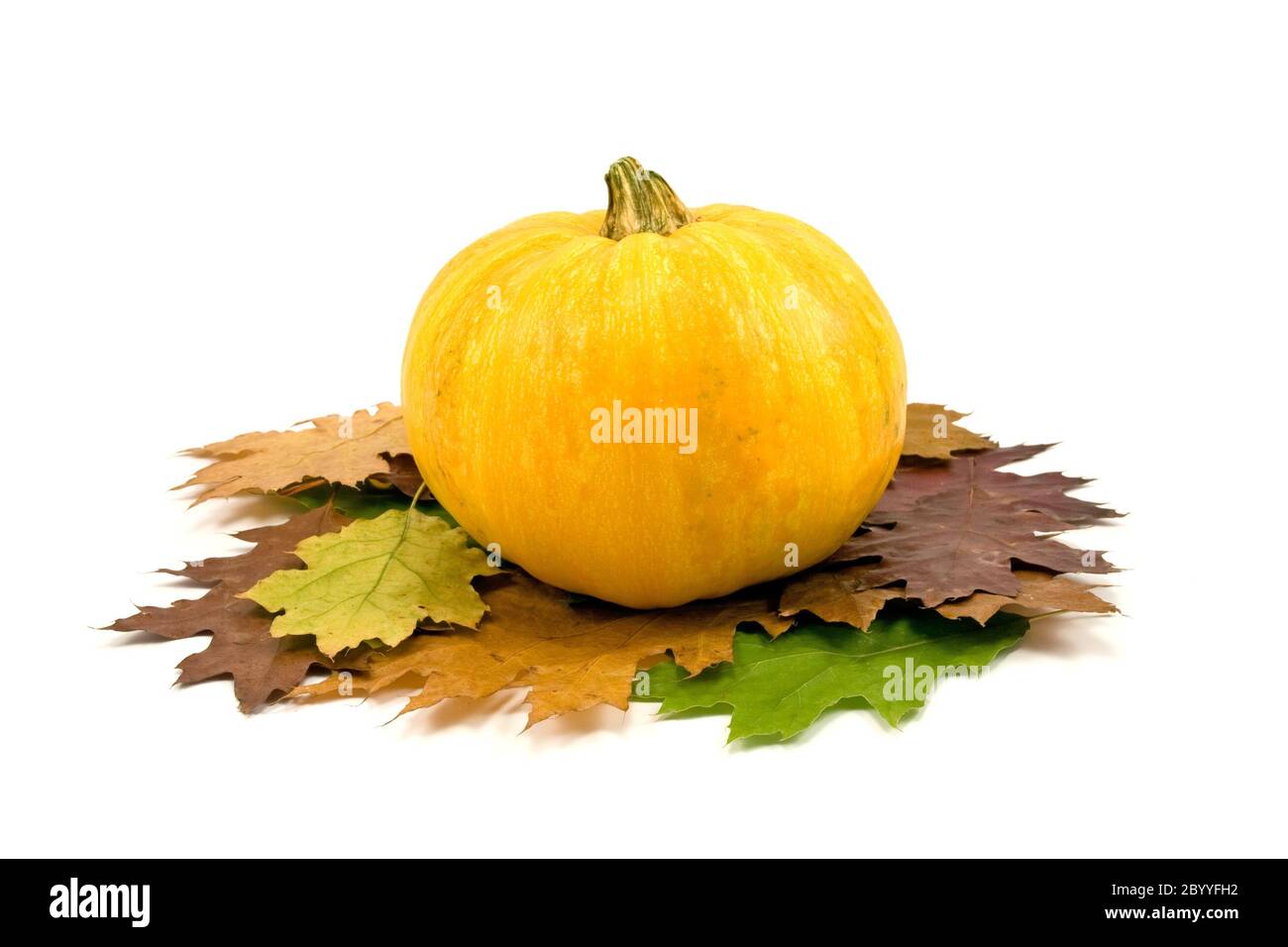 Kürbis und Herbstblätter Stockfoto