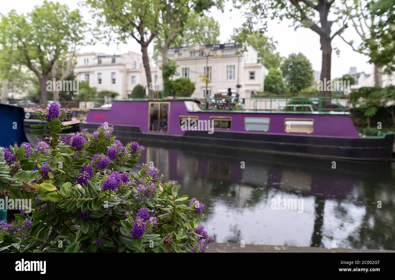 London, Großbritannien. Juni 2020. Das Foto vom 10. Juni 2020 zeigt eine Gesamtansicht des ruhigen kleinen Venedig in London, Großbritannien. Der britische Premierminister Boris Johnson bestätigte am Mittwoch, dass Zoos und Outdoor-Attraktionen in England ab Montag wieder eröffnet werden dürfen, aber dennoch müssen die Regeln für soziale Distanzierung befolgt werden. Kredit: Han Yan/Xinhua/Alamy Live News Stockfoto