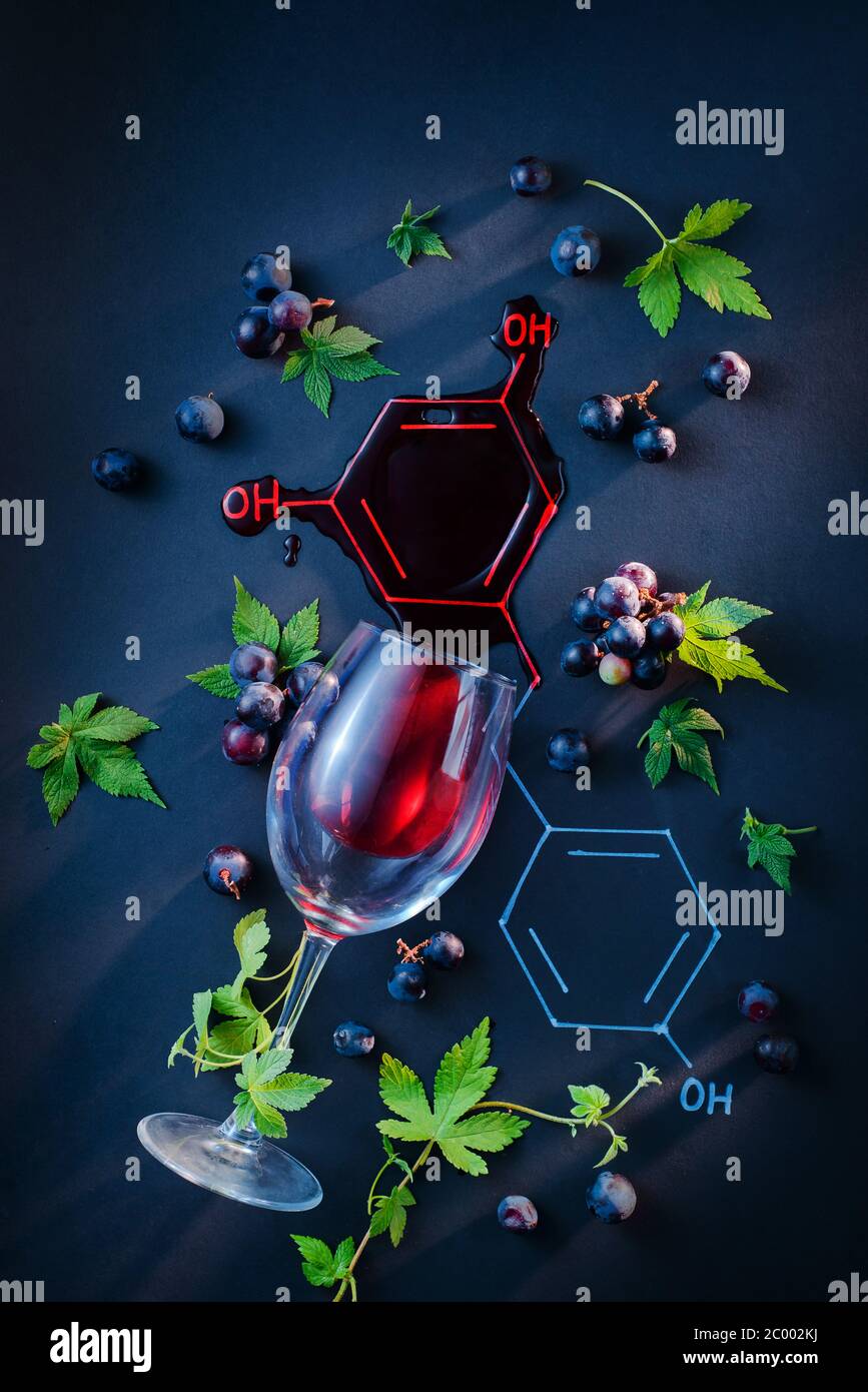 Rotwein Formel mit einem Glas Wein, Trauben und Blätter flach legen. Creative Food Foto Stockfoto