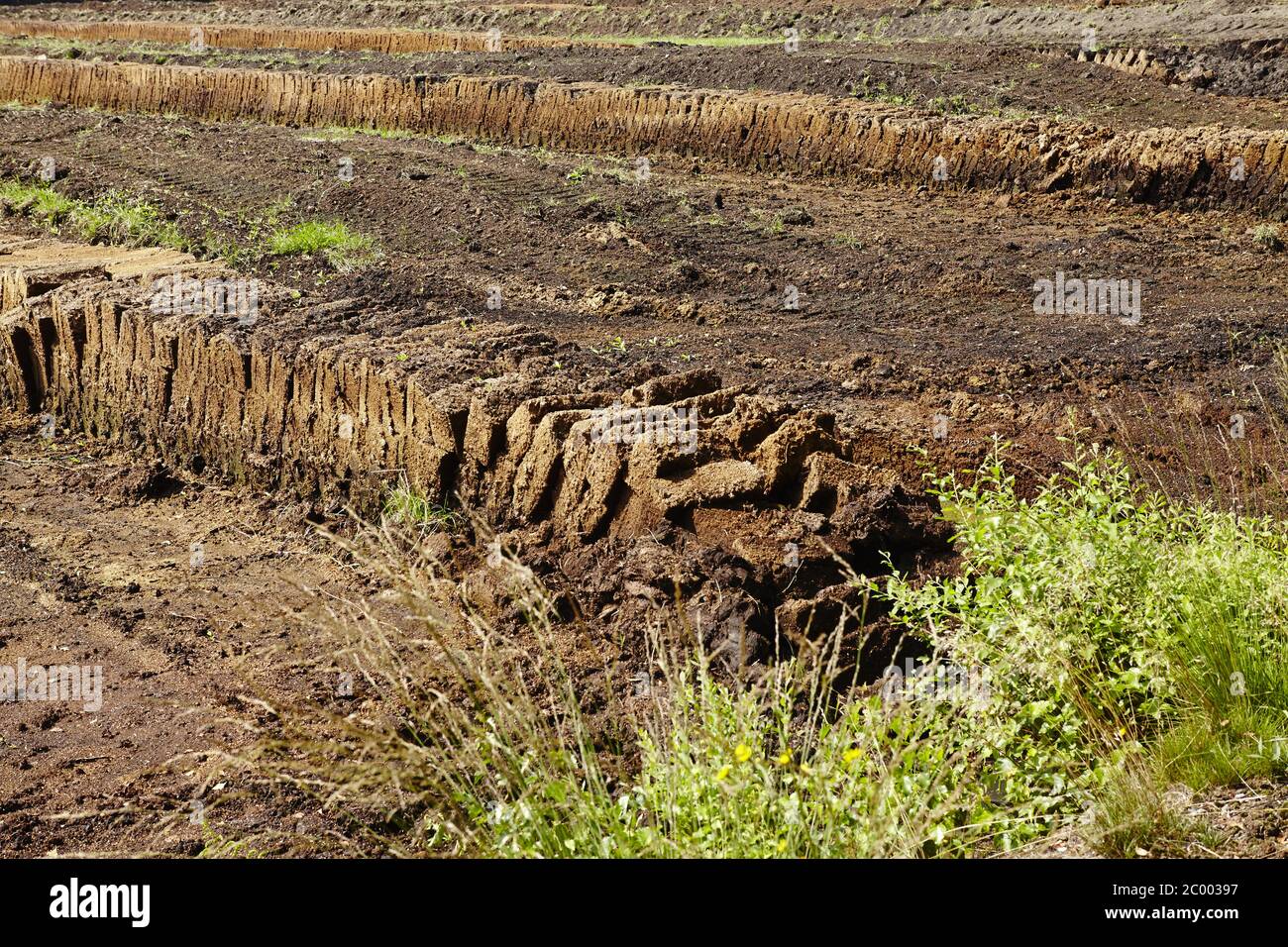 Osnabrücker Land - Torfförderung Stockfoto