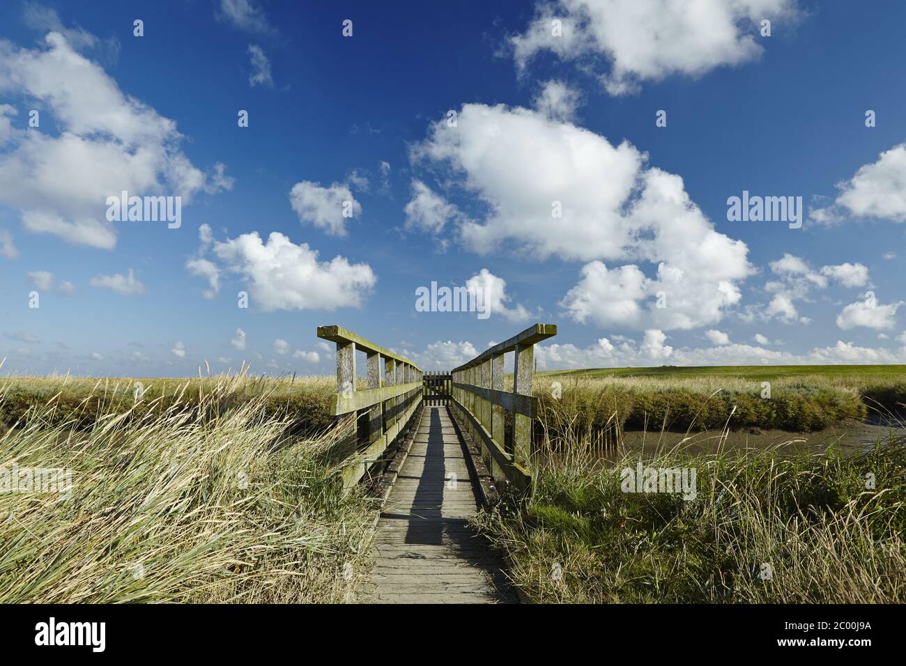 Westerhever - Salzwiesen mit Steg Stockfoto
