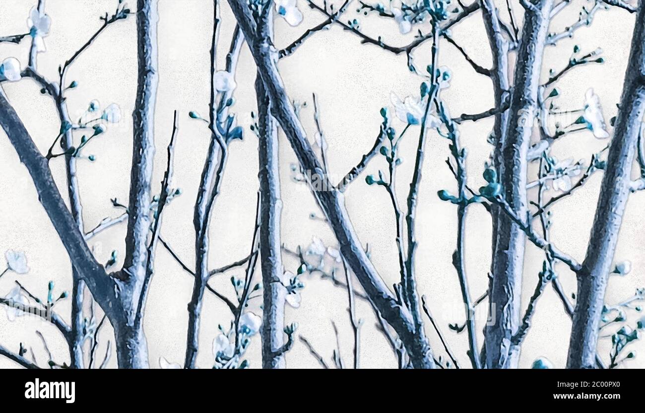 Natur Detail Digitale Kunst Stockfoto