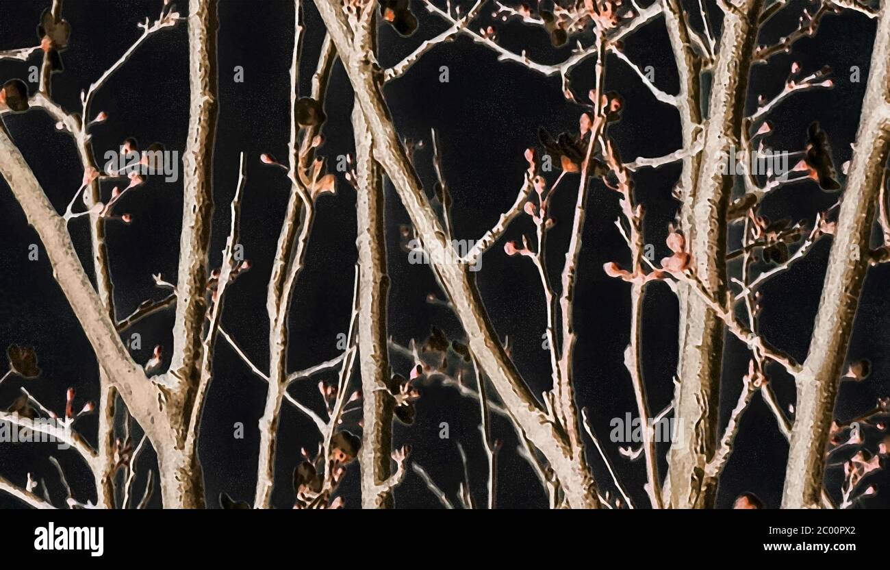 Natur Detail Digitale Kunst Stockfoto