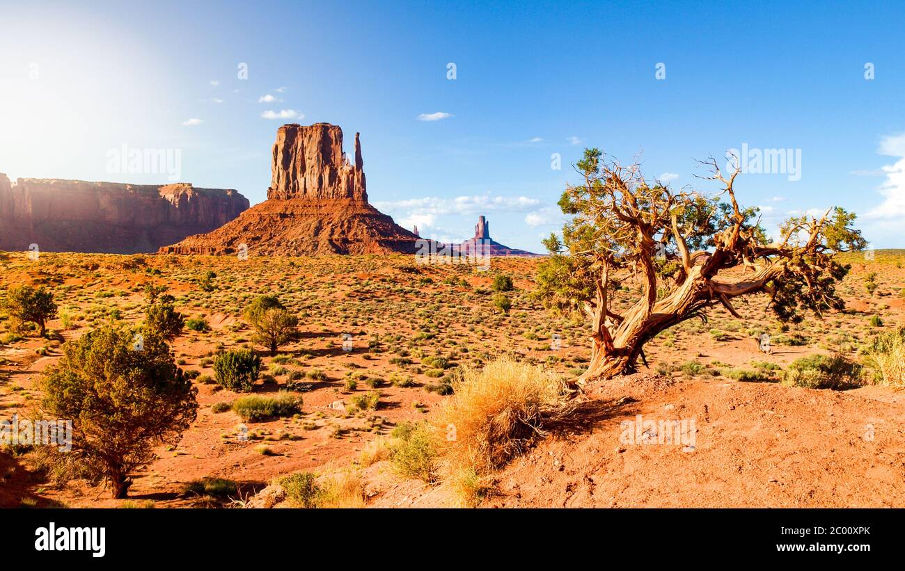 Monument Valley Landschaft mit Mitten Butte Red Rock Formation, Utah, USA. Stockfoto