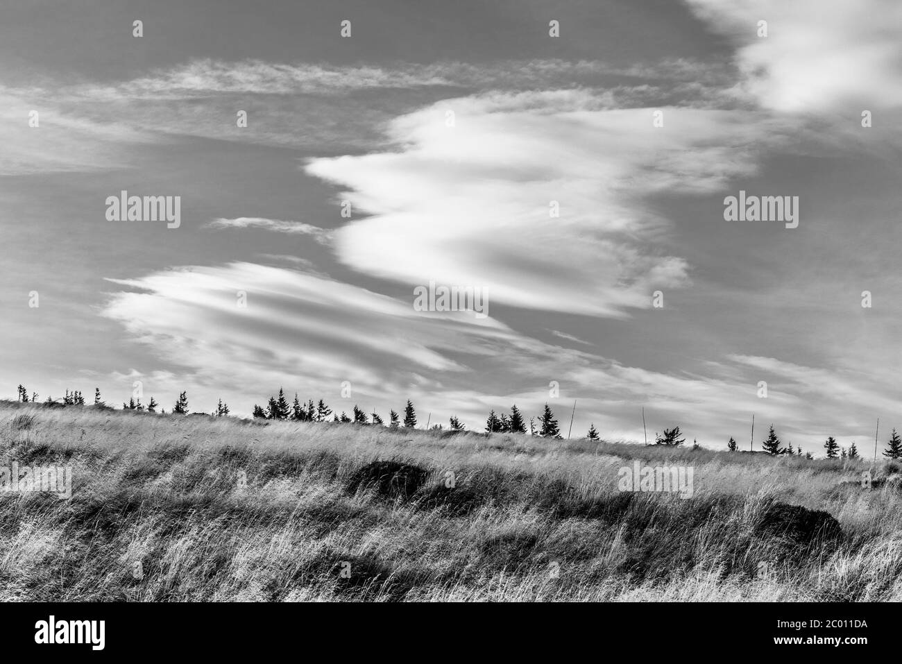 Herbstlandschaft des Riesengebirges mit gelbem Gras und einzigartiger Wolkenlandschaft, Riesengebirge, Tschechische Republik. Schwarzweiß-Bild. Stockfoto