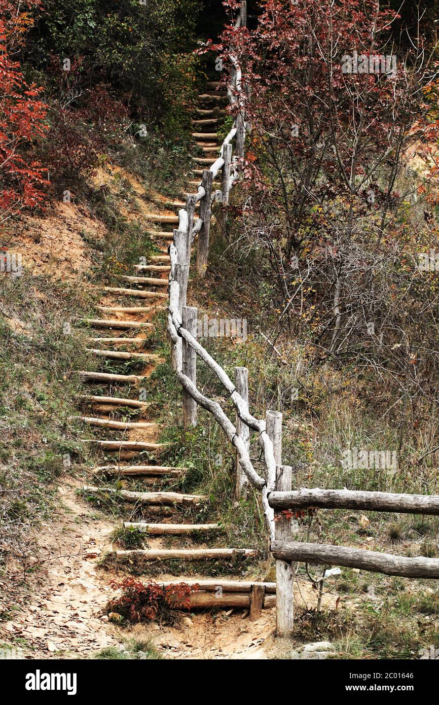 Schöne Herbstbilder von einer Waldtreppe Stockfoto