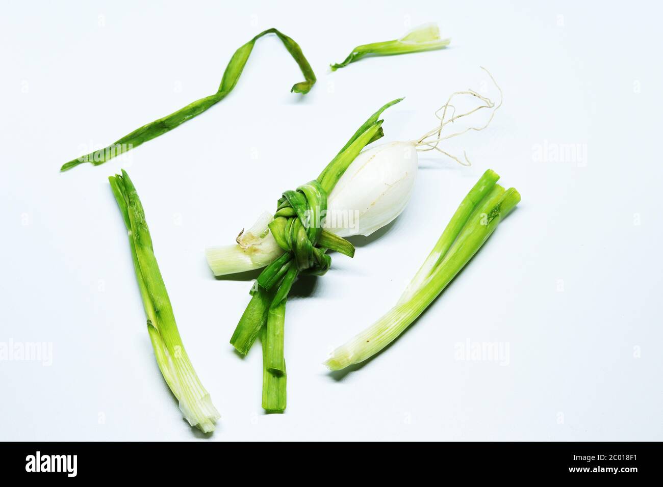 Frische Grüne Frühlingszwiebel Mit Wurzeln Auf Einem Isolierten Weißen Hintergrund Stockfoto