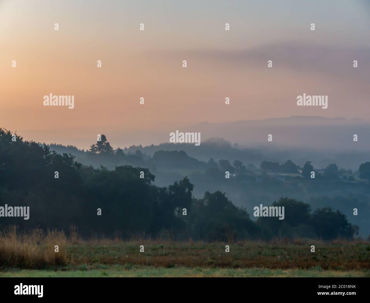 Nebliger Morgen auf dem Land mit Bäumen im Vordergrund, Hügel im nebligen Hintergrund und erste Lichter am Himmel irgendwo auf dem spanischen Weg von S Stockfoto