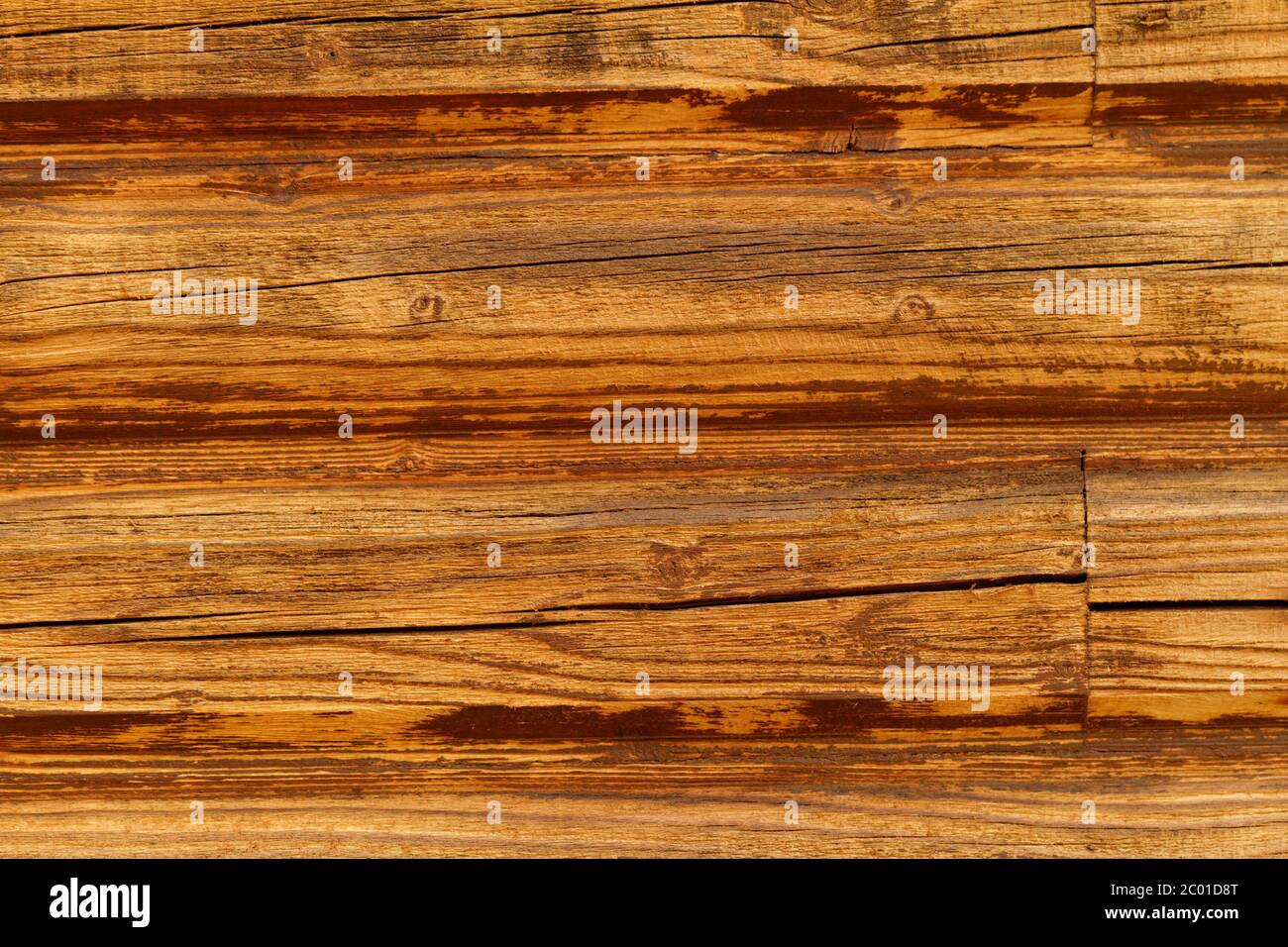 Nahaufnahme Foto eines Holzhauses im Wald Stockfoto