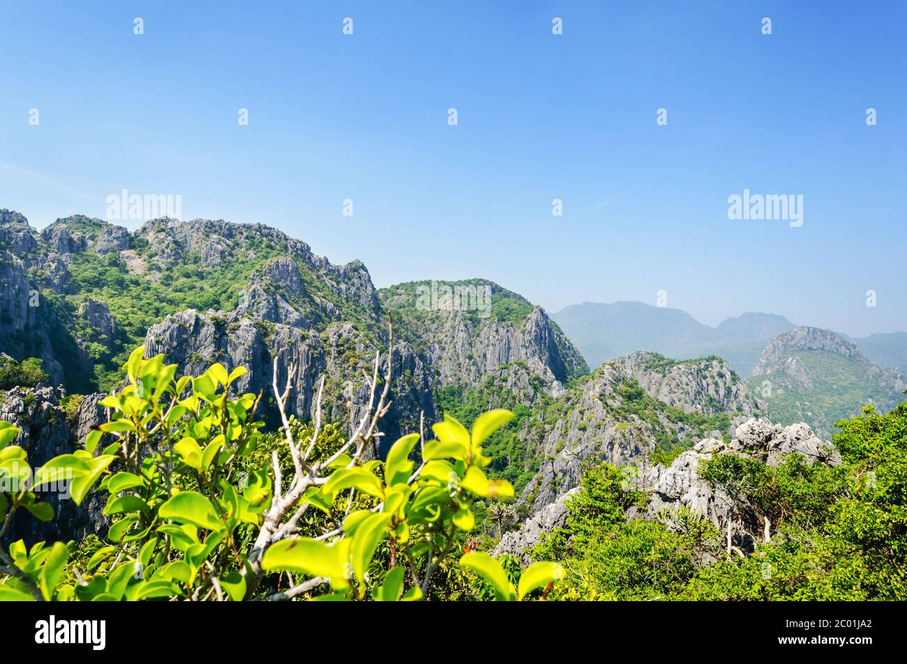 Blick auf den Stone Mountain Stockfoto