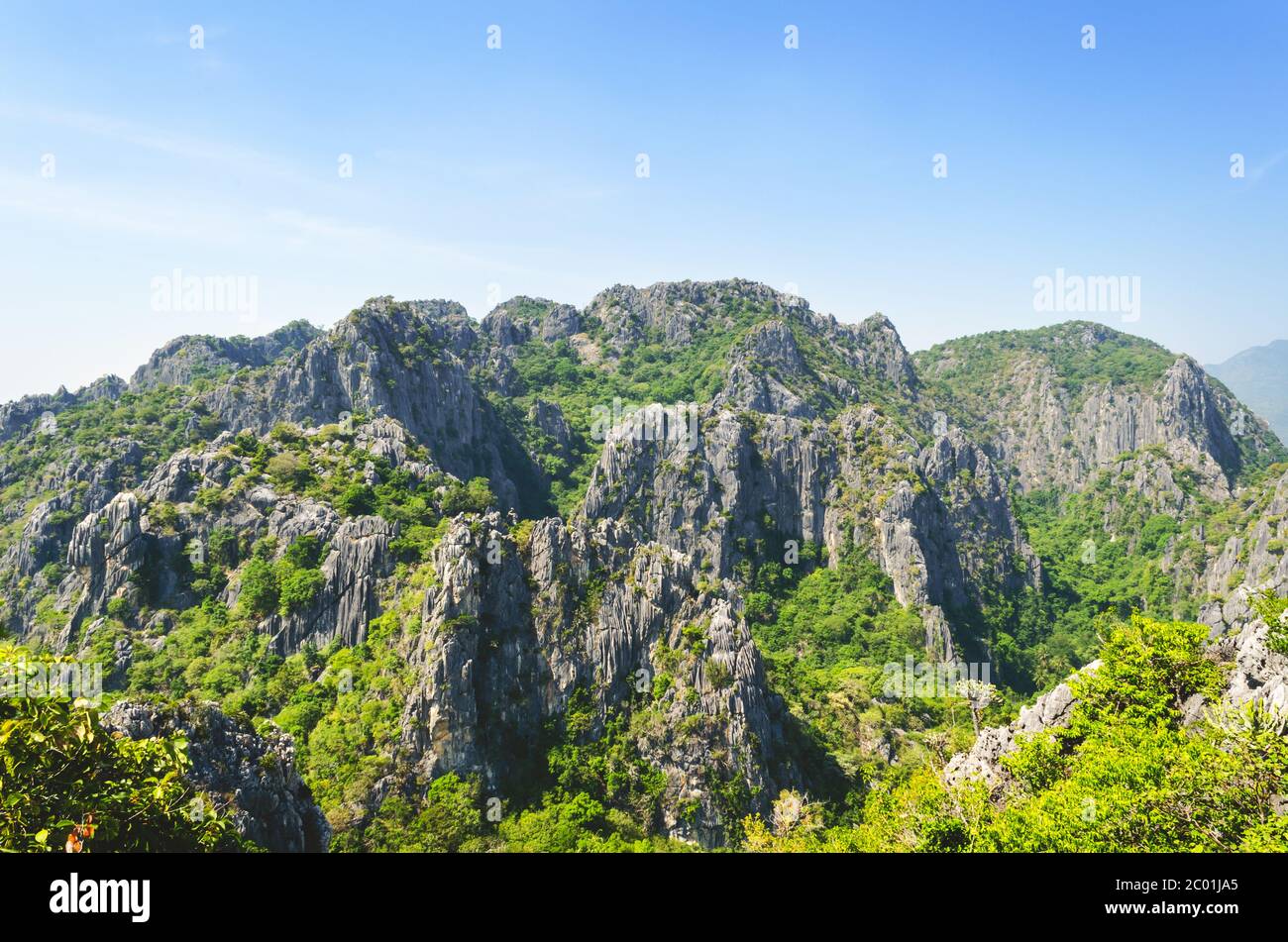 Blick auf den Stone Mountain Stockfoto
