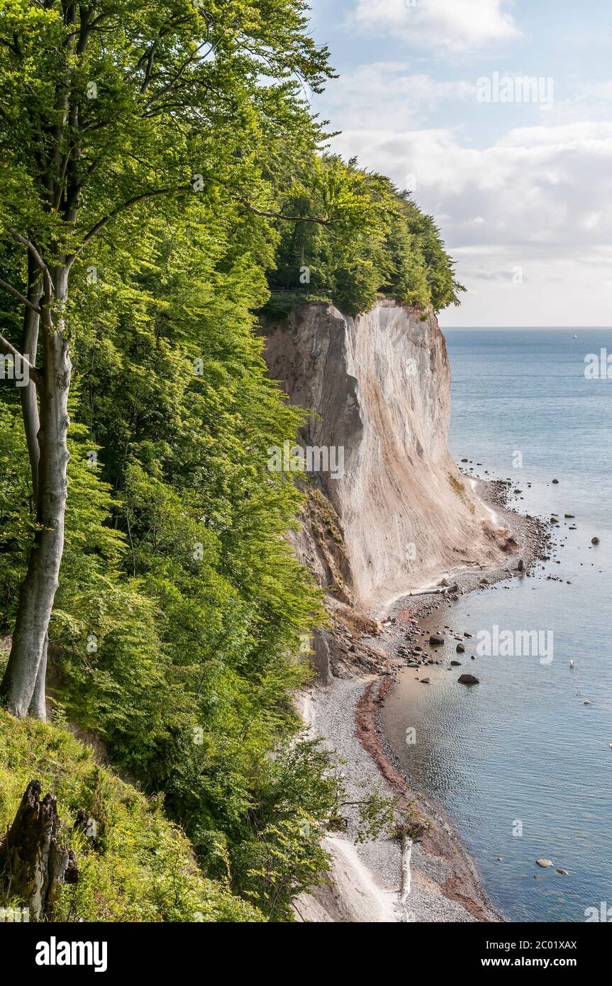 Blick auf die Steilküste des Nationalparks Jasmund auf Rügen. Ausblick auf die Steilküste des Nationalparks Jasmund auf Rügen, Deutschland. Stockfoto