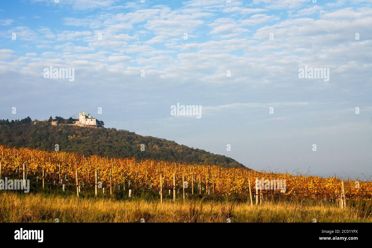 Kirche St. Joseph auf Kahlenberg in Wien Stockfoto