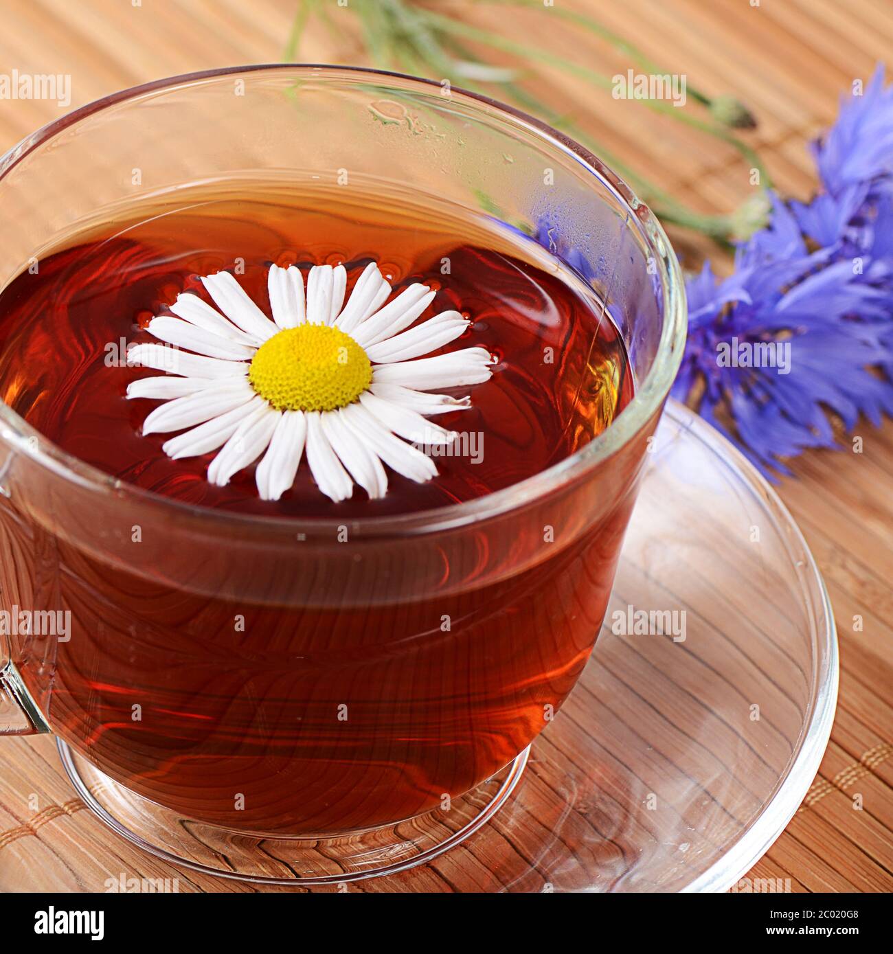 Kräutertees in Tasse mit Kamille Stockfoto