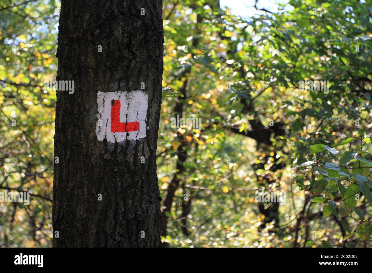 Foto eines Baumstammes mit einem Schild Stockfoto