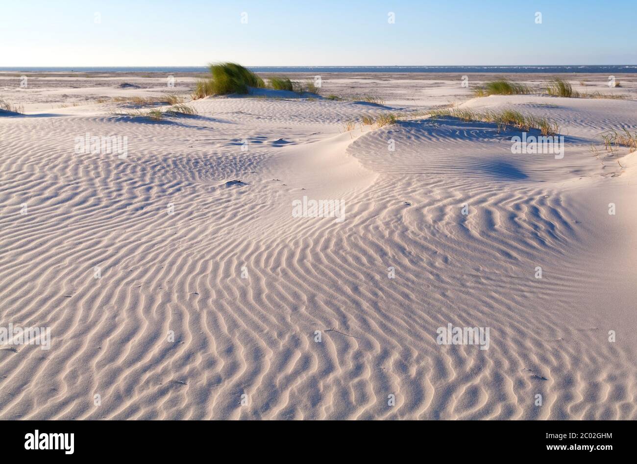 Sandmuster auf Küstendüne Stockfoto