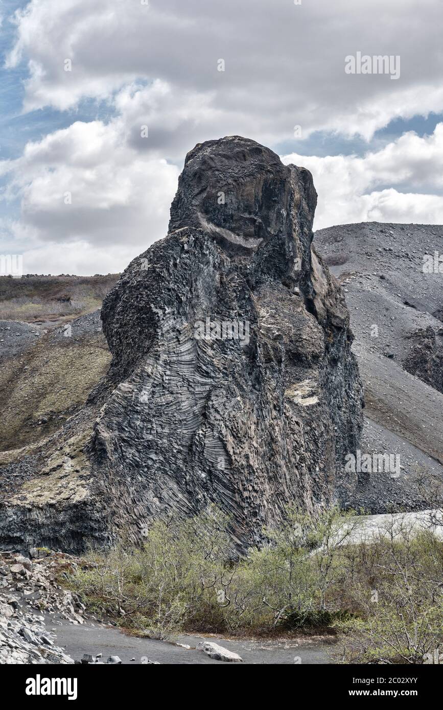 Hljóðaklettar (Echo Rocks), außergewöhnliche vulkanische Basaltsäulen Felsformationen in der jökulsárgljúfur Canyon in NE Island Stockfoto